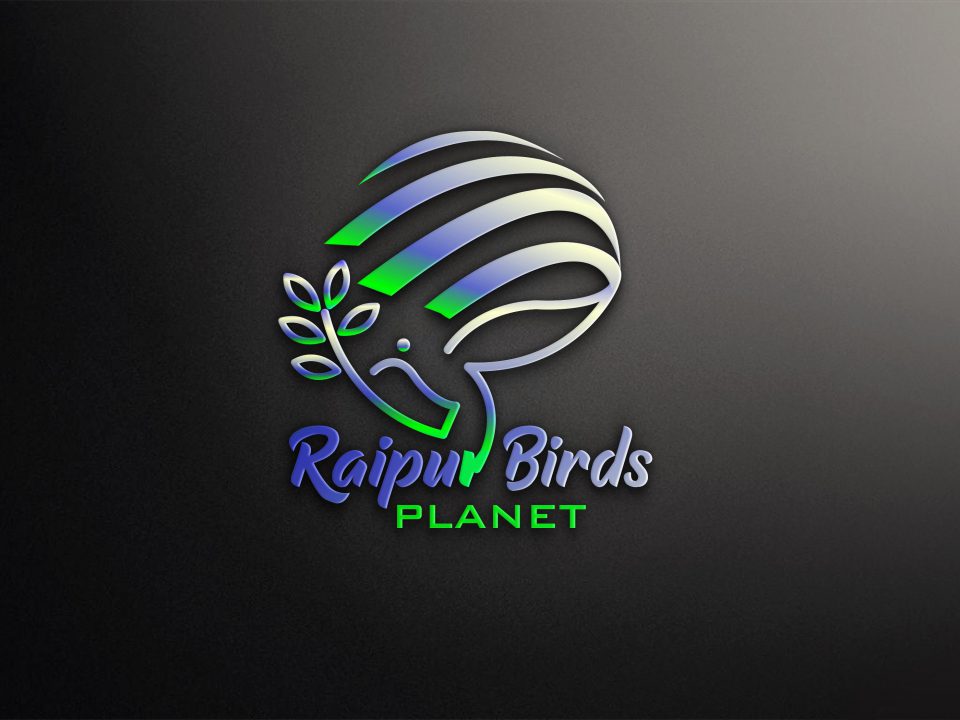 Logo Raipur Bird Planet
