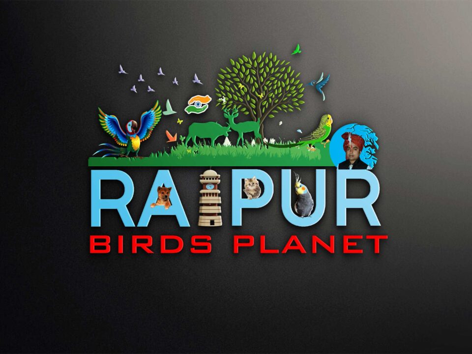 Raipur Bird Planet