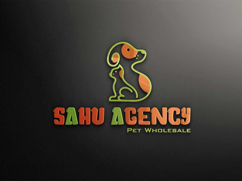 Logo Design for Sahu Agency
