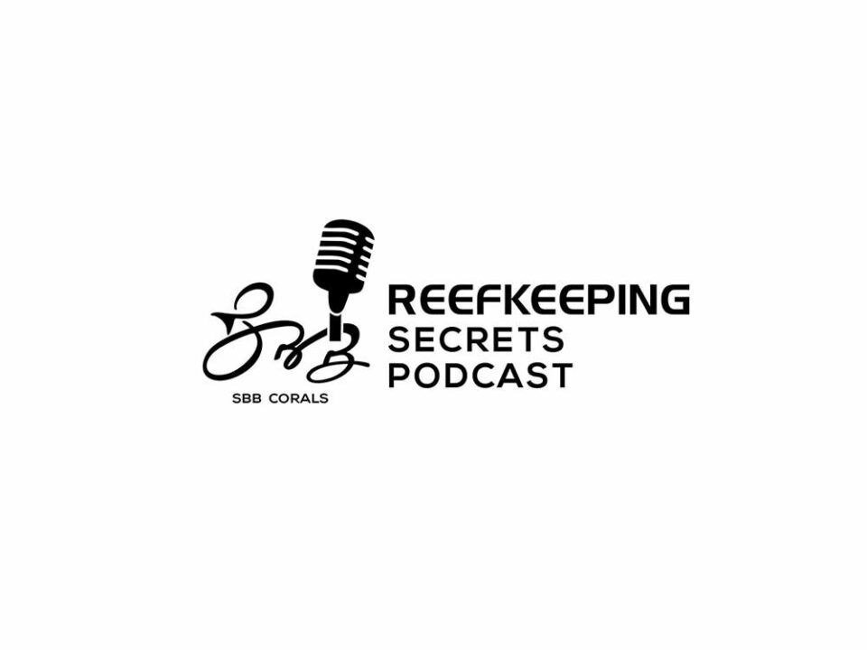 Logo Design For Reefkeeping Podcast