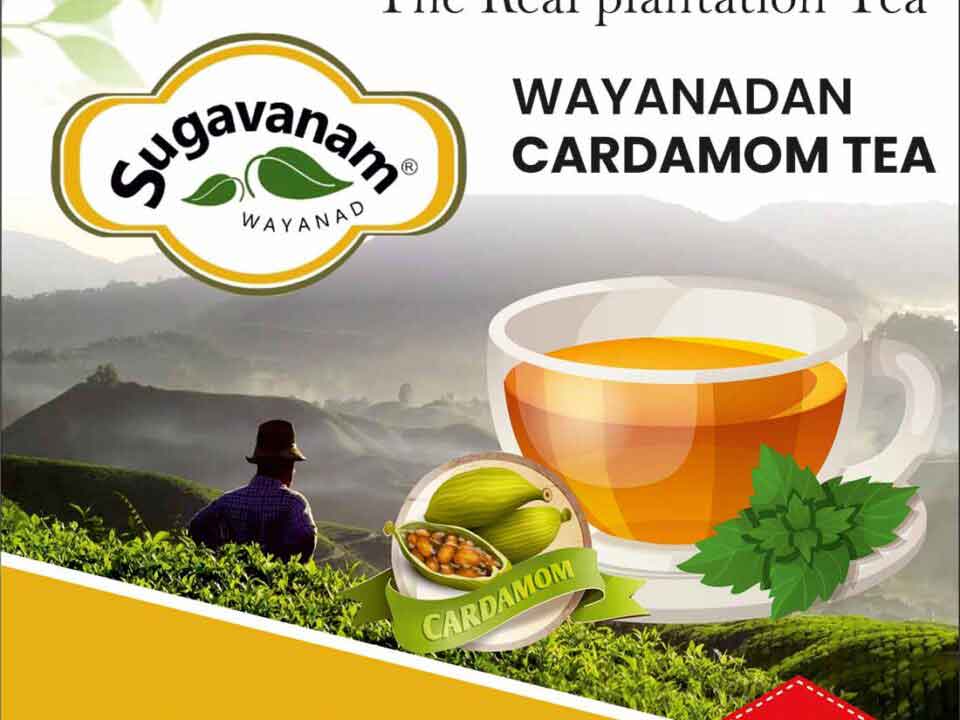 Tea Box Packaging Design for Sugavanam Wayanad