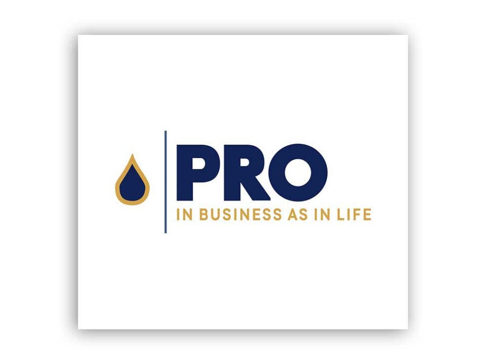 Logo Design For Pro Business in Life