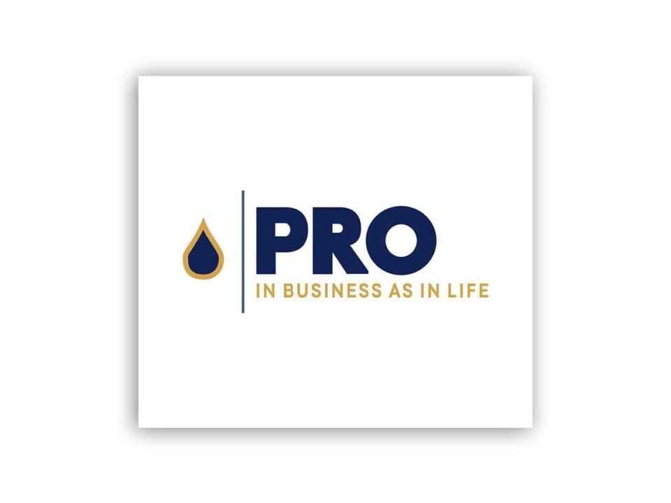 Logo Design For Pro in Business Life